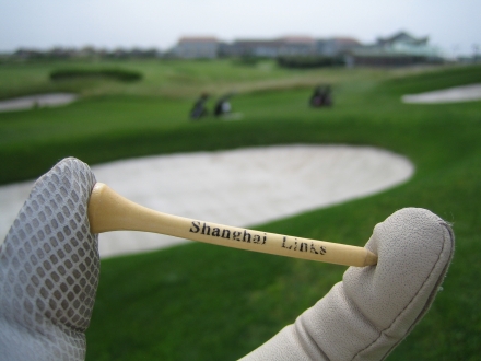 2007-06-23-shanghalinks.jpg