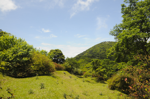 2009-04-18-the-nature