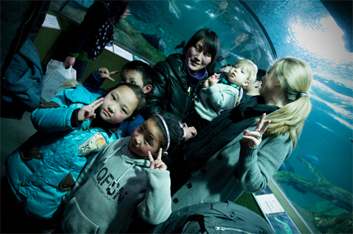 2011-03-06 Shanghai Aquarium-5 2011-03-06 Shanghai Aquarium-5