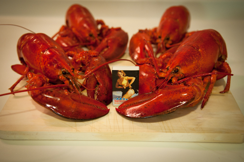2011-04-03 lobsters-2